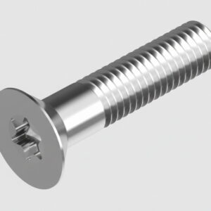 בורג אלן טורקס ראש שטוח ISO 10642  נירוסטה A2