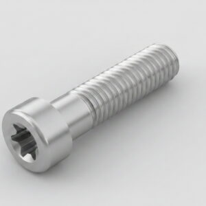 בורג טורקס ראש גלילי נמוך ISO 14579 נירוסטה A2