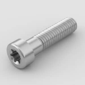 בורג אלן טורקס ראש נמוך נירוסטה  ISO 14580 A2