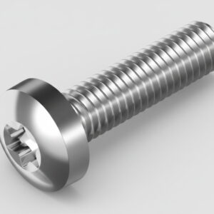 בורג מכונה טורקס ראש פאן ISO 14583  נירוסטה A2